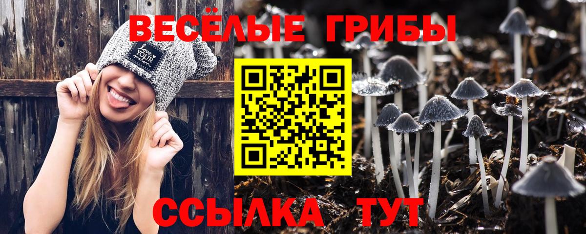 Псилоцибиновые грибы Cubensis  Галлюциногенные грибы GOLDEN TEACHER  Ишимбай  купить наркоту  Вход с VPN 